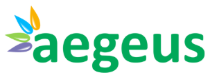 AEGEUS TECHNOLOGIES LIMITED