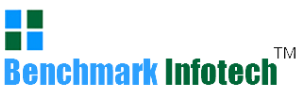 BENCH MARK INFOTECH SERVICES LIMITED