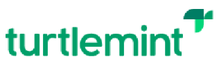 TURTLEMINT FINTECH SOLUTIONS LIMITED
