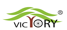 Victory Electric Vehicles International Limited